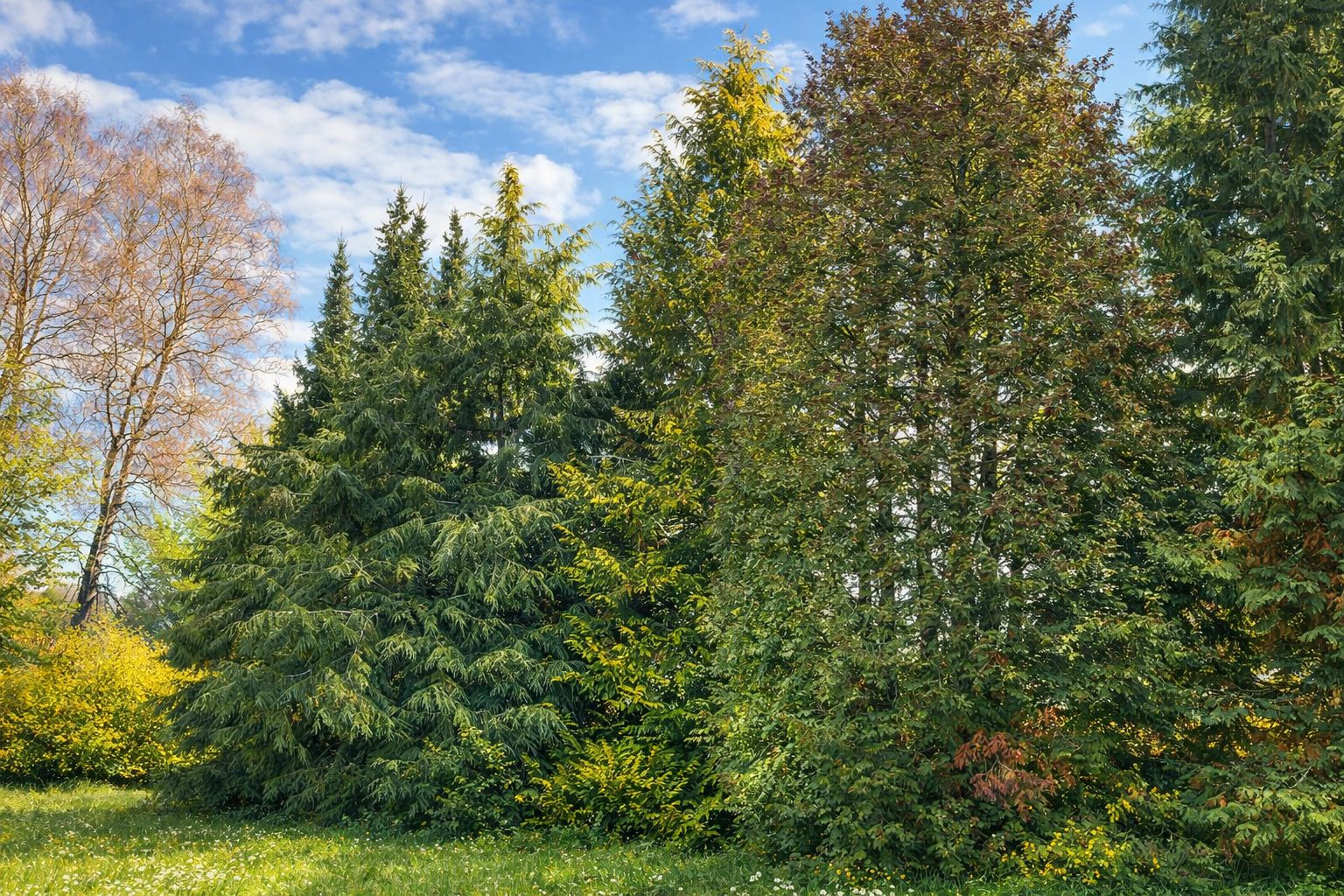 Haus der alten Bäume · Impression 3